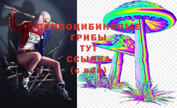 дмт Алзамай