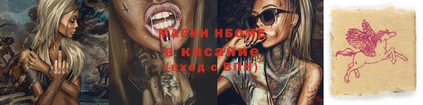 дмт Алзамай