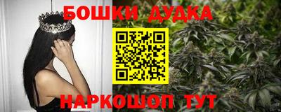 индика Наро-Фоминск
