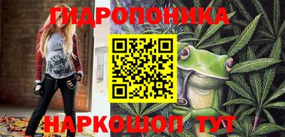 бошки Новозыбков