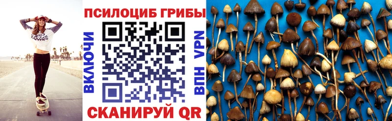 где купить наркоту  Фролово  Галлюциногенные грибы мухоморы 