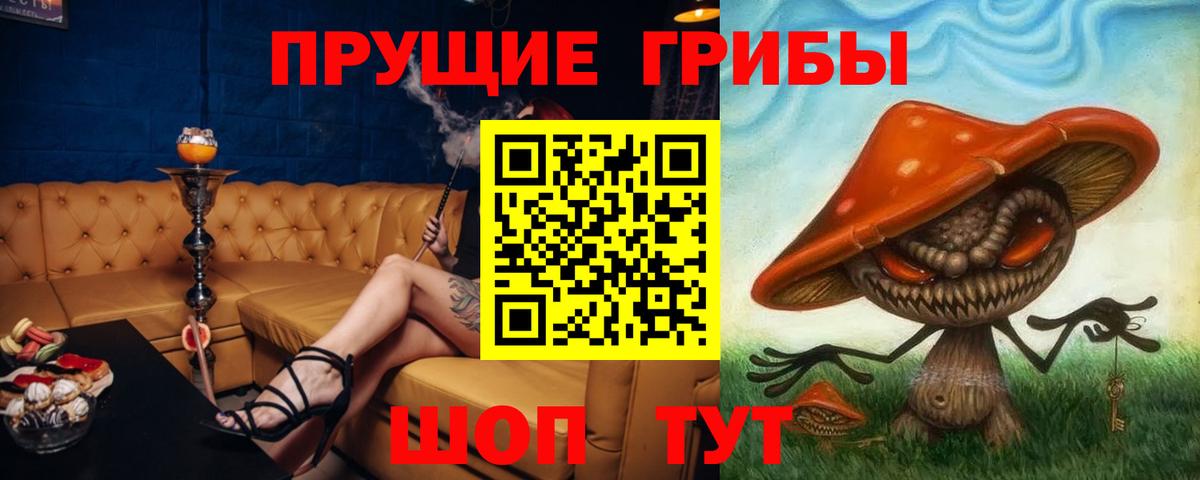 что такое наркотик  Вход с VPN  Фролово  Галлюциногенные грибы Magic Shrooms 